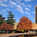 Hesburgh Library in Autumn